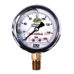 Pressure Gauges